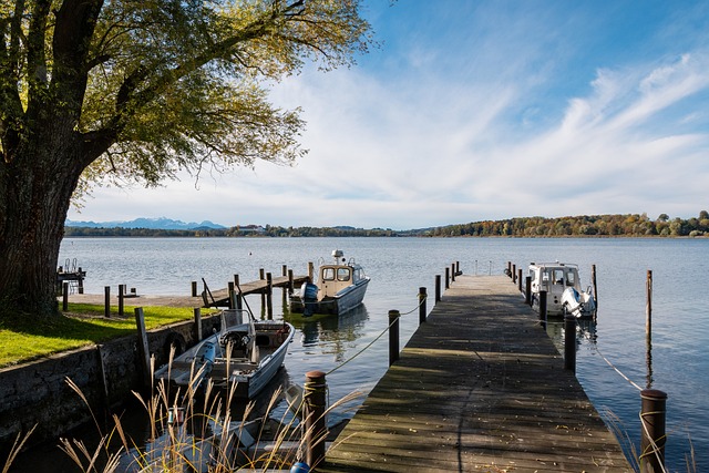 仅让公众对 仅让公众对