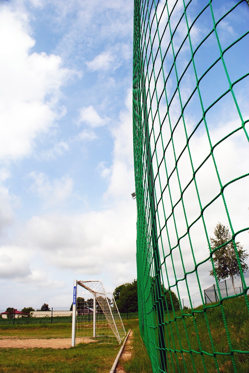 浙江体育十 浙江体育十