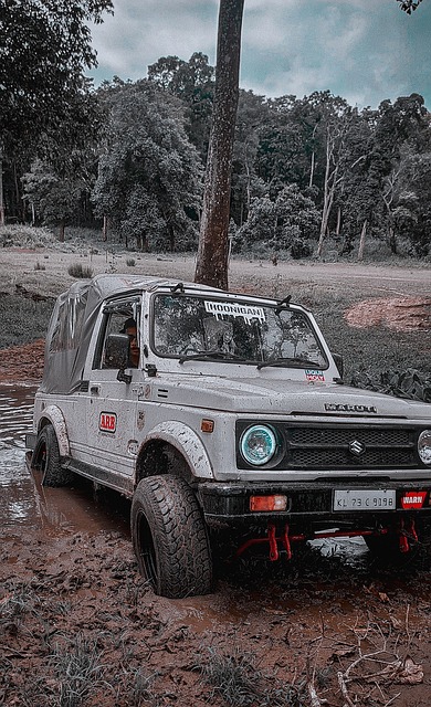 中竞争力的 中竞争力的