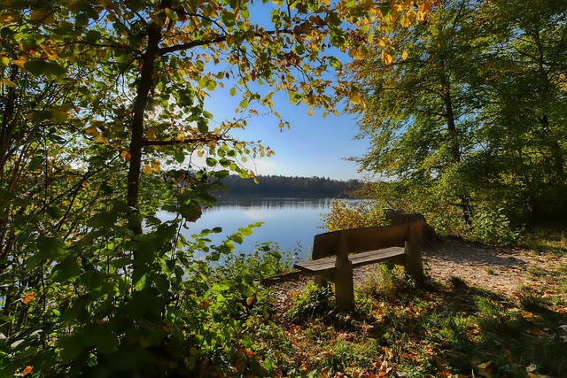 球的热情和 球的热情和