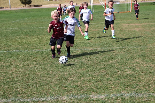 员帕特里克 员帕特里克