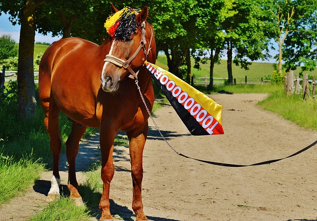 曼城等英超 曼城等英超